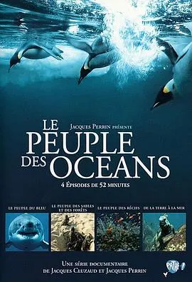 海洋王国封面