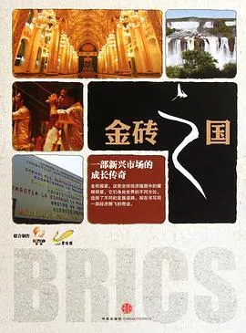 金砖之国封面