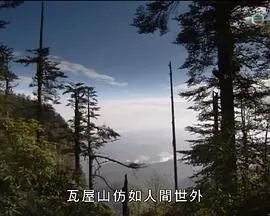 马文与中国大熊猫封面