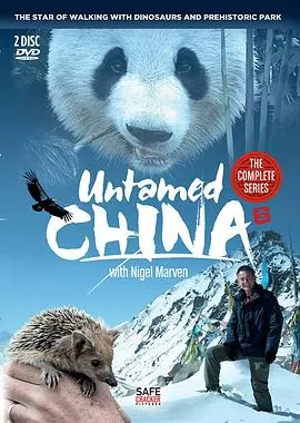 未发现的中国封面