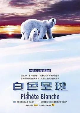 白色星球封面