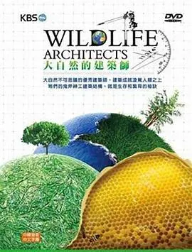 大自然的建筑师封面