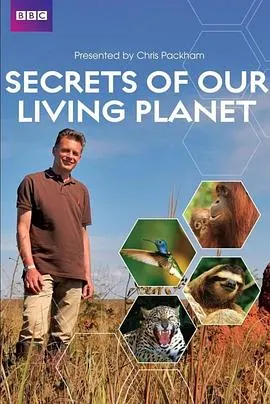 我们星球的秘密封面