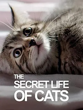 BBC地平线：猫的秘密生活封面
