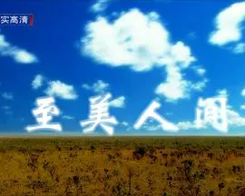 至美人间封面