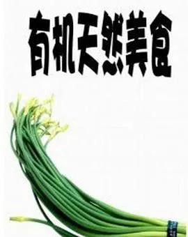 有机天然美食封面