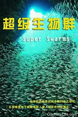 超级群体封面