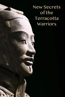 兵马俑的新秘密封面
