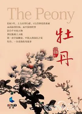 牡丹封面