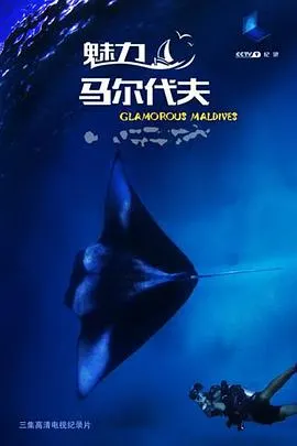 魅力马尔代夫封面