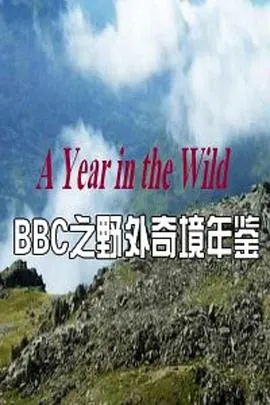 野外奇境年鉴封面