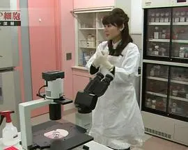 调查报告：“STAP细胞”学术造假真相 調査報告封面