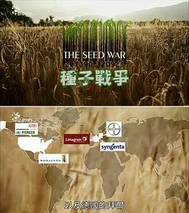 种子战争封面
