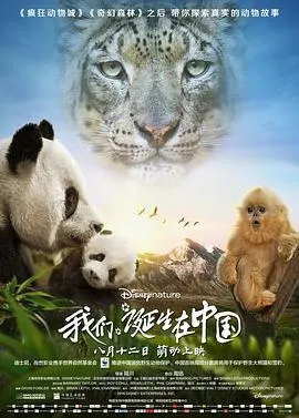 我们诞生在中国封面