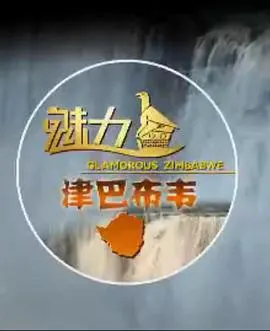 魅力津巴布韦封面