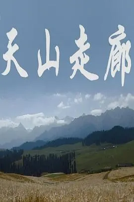 天山走廊封面
