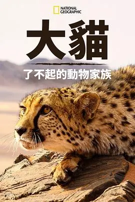 猫科动物：奇妙的动物家族封面
