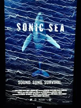 噪音海洋封面