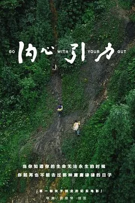 内心引力封面