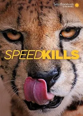 极速猎杀封面