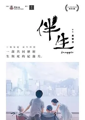 伴生封面