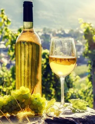 葡萄酒之旅：香槟&阿尔萨斯封面
