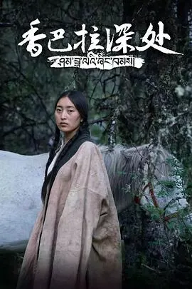 香巴拉深处封面