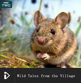 乡间趣事封面