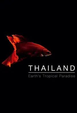 泰国：地球上的赤道天堂封面