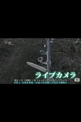 纪实72小时：金刚山的实摄像头 ドキュメント72時間 金剛山 ライブカメラの山頂で封面
