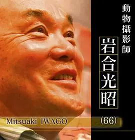 2017NHK纪录片Professional-行家本色 动物摄影师岩合光昭 プロフェッショナル仕事の流儀 猫を知れば、世界が変わる 動物写真家・岩合光昭封面