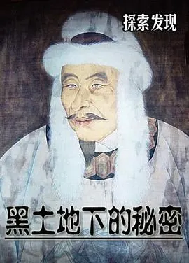 黑土地下的秘密封面