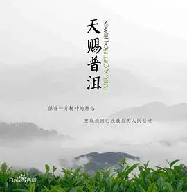 天赐普洱封面