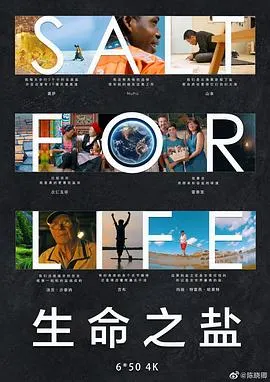 生命之盐封面