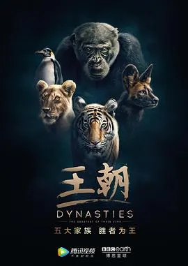 王朝 第一季封面