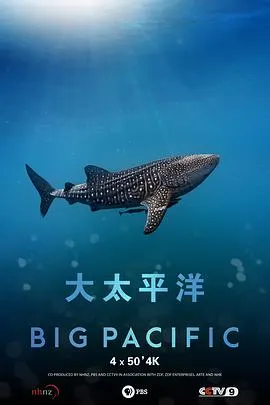 大太平洋封面