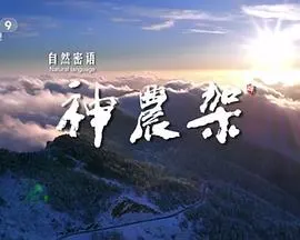 自然密语：神农架封面
