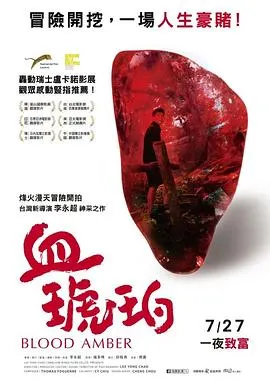 血琥珀封面