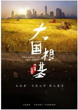 大国根基封面