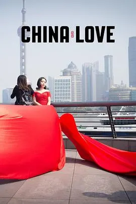 中国式爱情封面