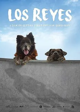 犬犬风尘封面