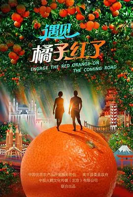 遇见·橘子红了封面