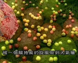 气象大观封面