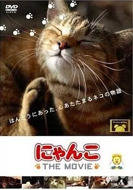 猫咪物语 にゃんこ封面