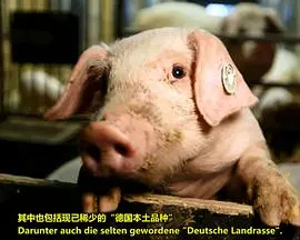 我们的香肠有多棒？封面