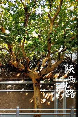 陕西北路封面