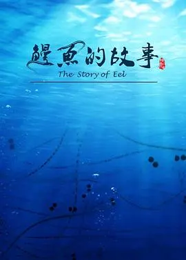鳗鱼的故事封面