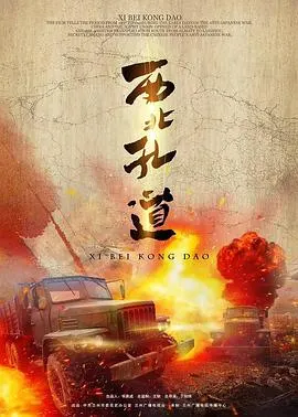 西北孔道封面