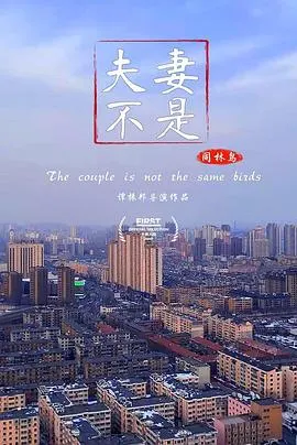 夫妻不是同林鸟封面