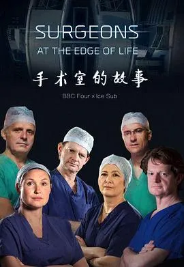 外科医生：生命边缘 第2-4季封面